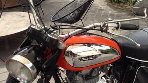 Ducati  