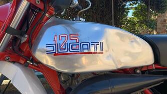 Ducati Six Days epoca