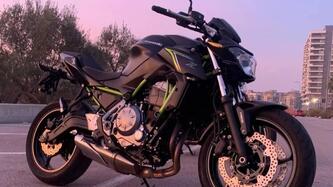 Kawasaki Z 650 (2020) usata