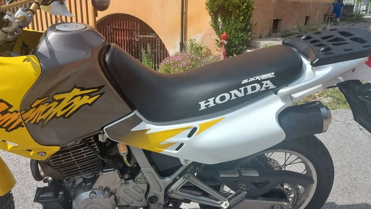 Honda   (10)