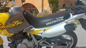 Honda   (10)