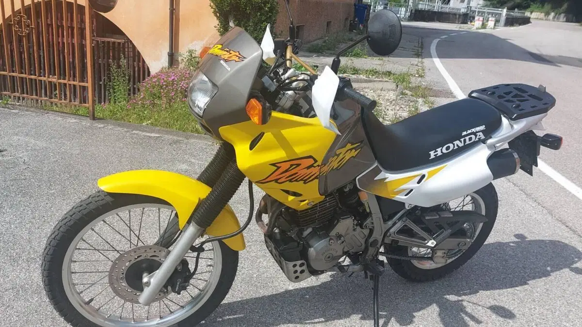 Honda   (5)