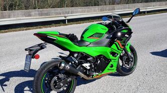 Kawasaki Ninja 500 SE (2024 - 25) usata