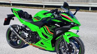Kawasaki Ninja 500 SE (2024 - 25) usata