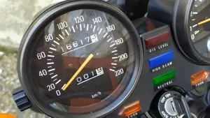 Yamaha   (14)