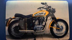 Ducati  