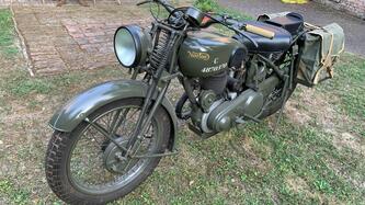 Norton 
