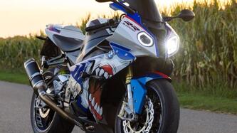 Bmw S 1000 RR (2009 - 12) usata