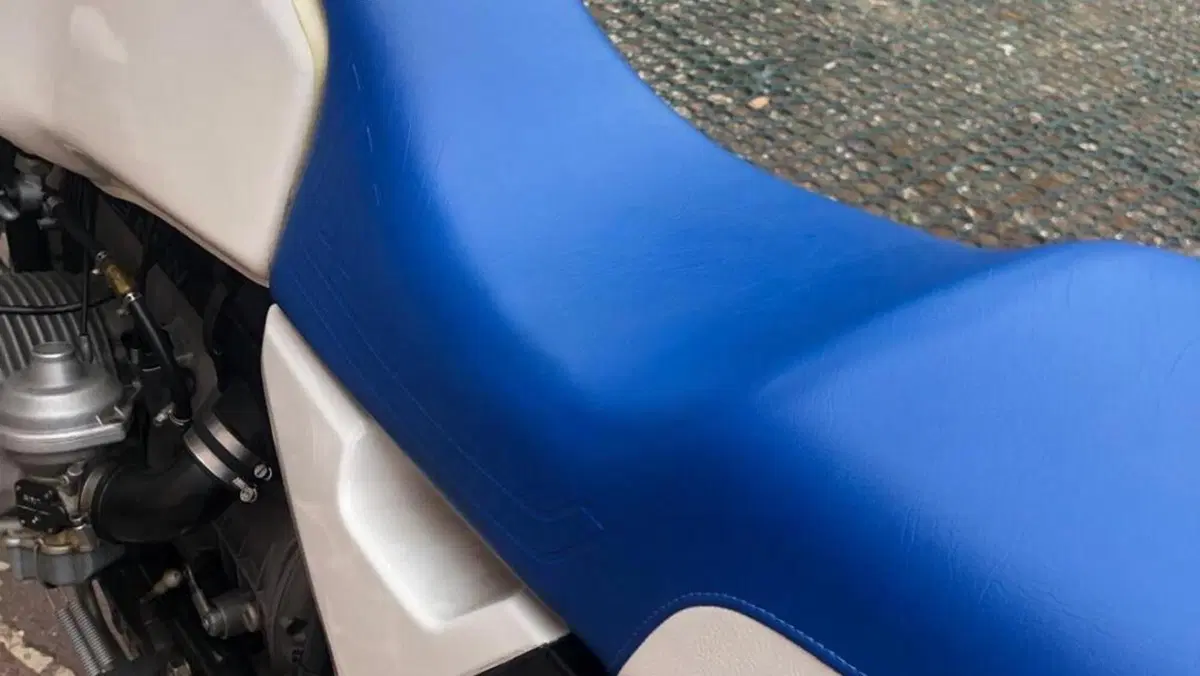 Bmw R 100 GS  (20)