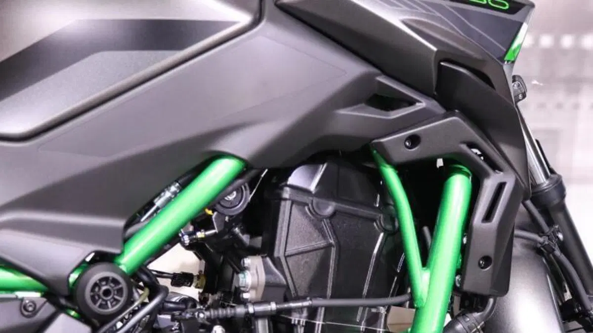 Kawasaki Z 650 (2021 - 24)  (5)