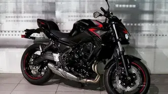 Kawasaki Z 650 (2021 - 24) usata