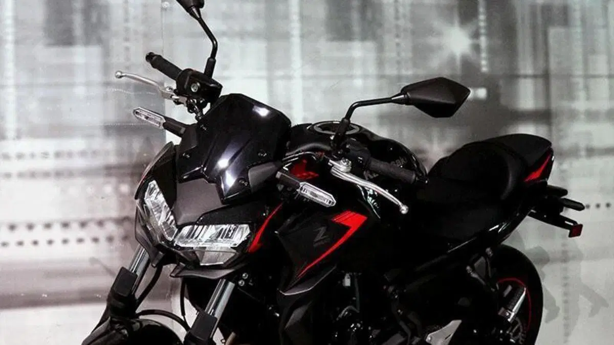 Kawasaki Z 650 (2021 - 24)  (3)