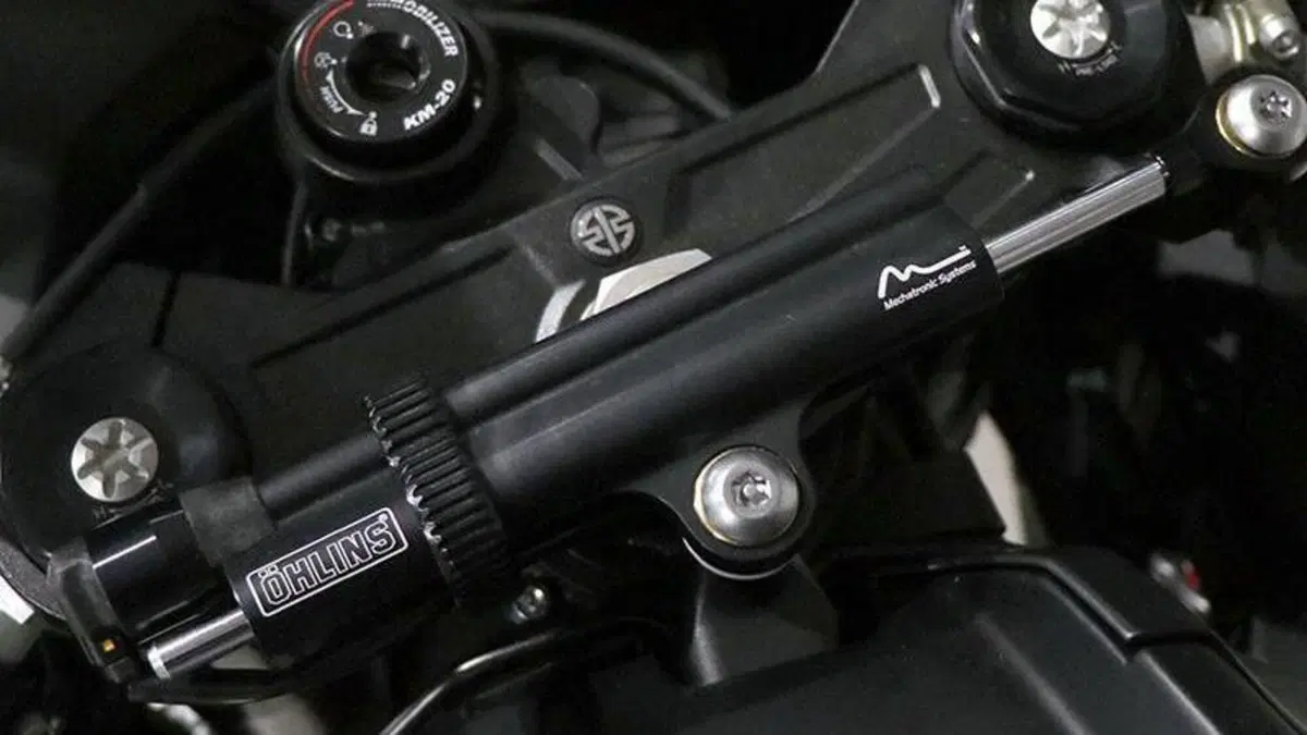 Kawasaki Ninja 1000 SX (2021 - 24)  (4)