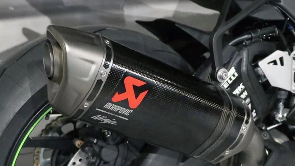 Kawasaki Ninja 1000 SX (2021 - 24)  (5)
