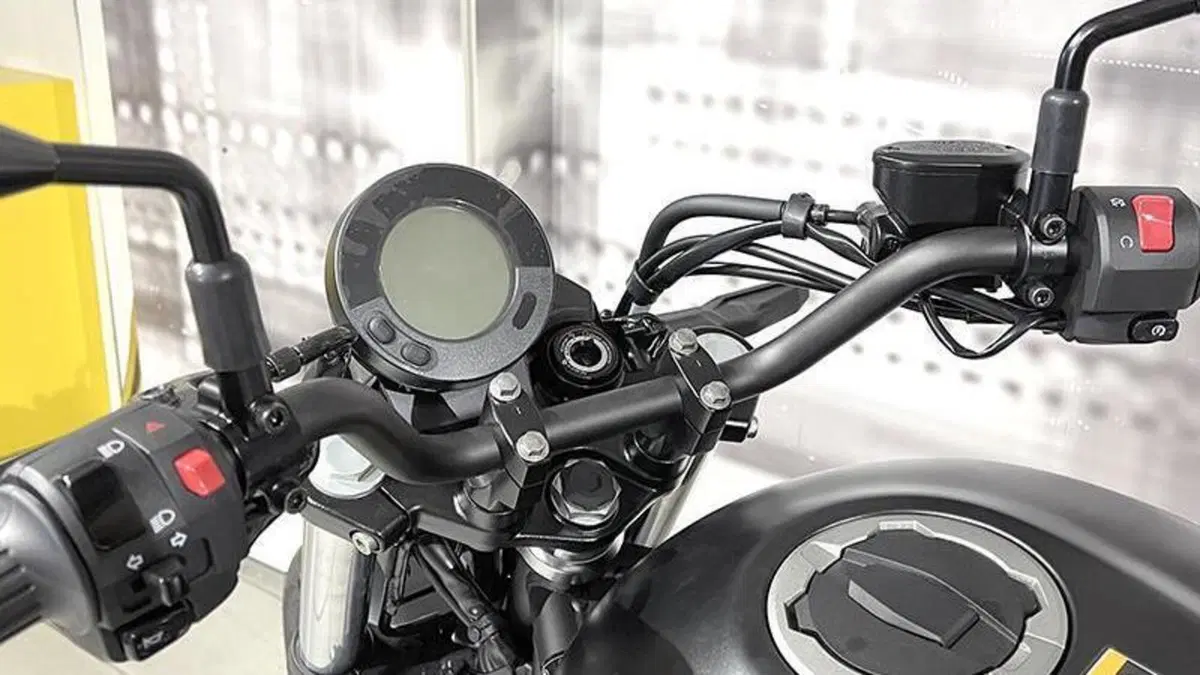 Kawasaki Eliminator 500 (2024 - 26)  (5)