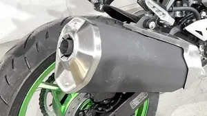 Kawasaki Z 500 SE (2024 - 26)  (4)