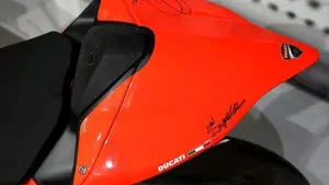 Ducati 1199 Panigale R ABS (2013 - 17)  (5)