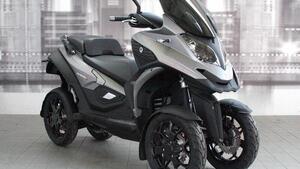 Quadro Quadro 4 (2015 - 17) 