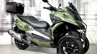 Quadro QV3 350 (2018 - 19) nuova