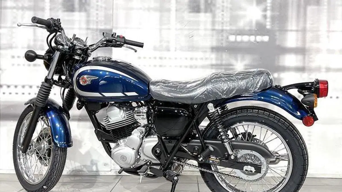 Kawasaki W 230 (2025 - 26)  (2)