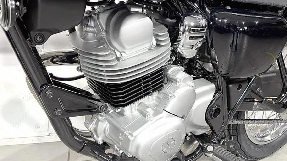 Kawasaki W 230 (2025 - 26)  (3)