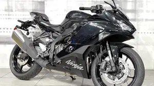 Kawasaki Ninja ZX-4R (2024 - 26) 