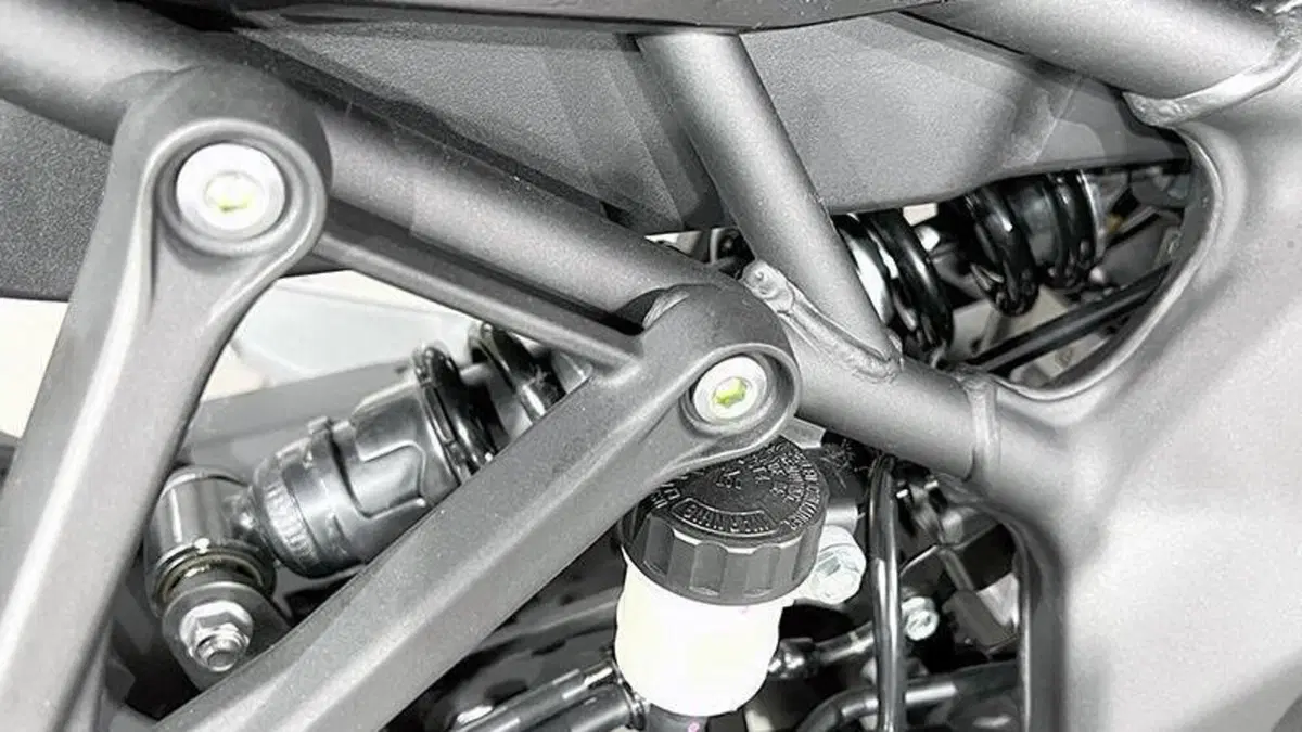 Kawasaki Ninja ZX-4R (2024 - 26)  (5)