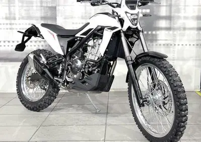 Betamotor Alp 4.0 (2024 - 26) - Annuncio 9681613