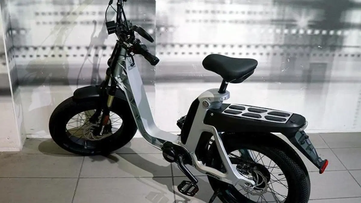 Fantic Motor Issimo (2019 - 23)  (2)