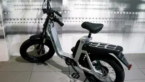 Fantic Motor Issimo (2019 - 23)  (2)