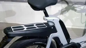 Fantic Motor Issimo (2019 - 23)  (4)