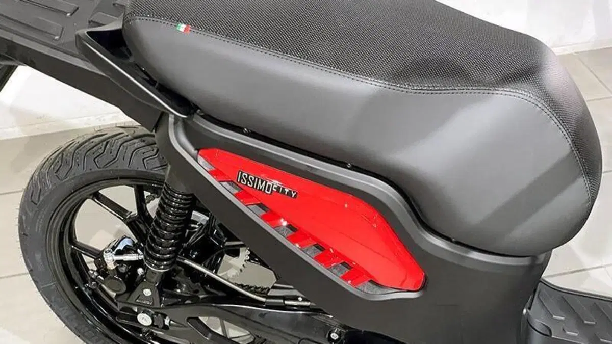Fantic Motor Issimo (2019 - 23)  (3)