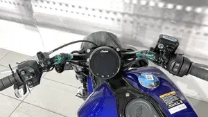 Indian Scout 1133 (2021 - 25)  (5)