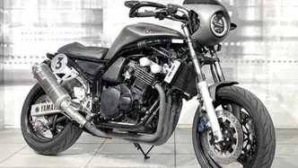 Yamaha FZS 600 Fazer (2002 - 03) usata