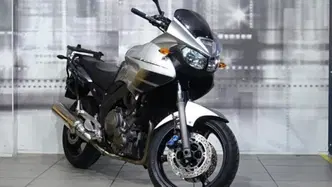 Yamaha TDM 900 (2002 - 14) usata