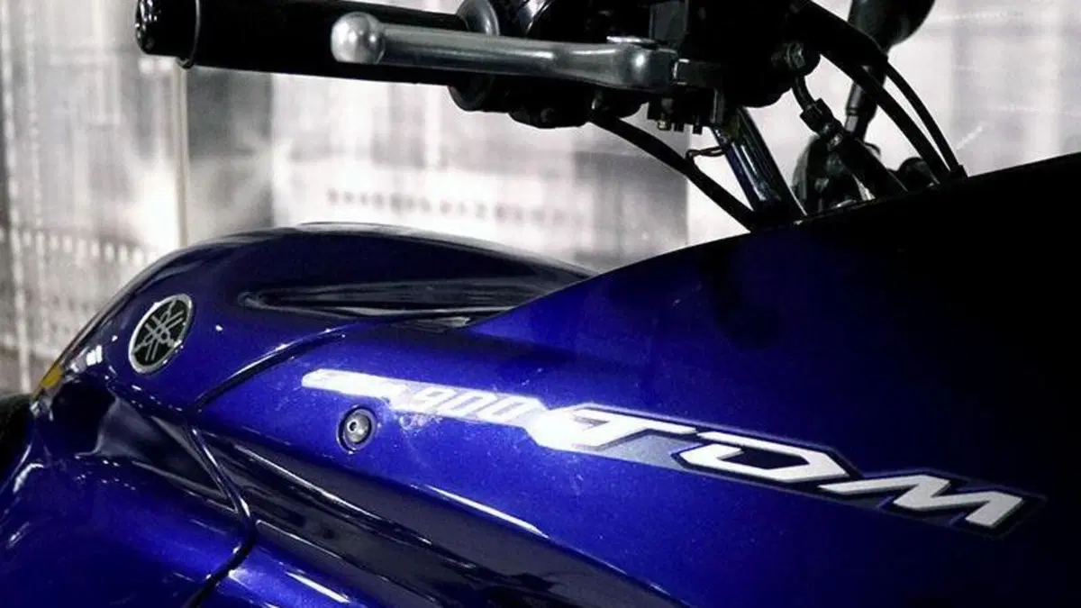 Yamaha TDM 900 (2002 - 14)  (4)