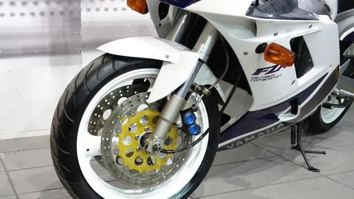 Yamaha FZR 1000 Exup (1991 - 93)  (4)