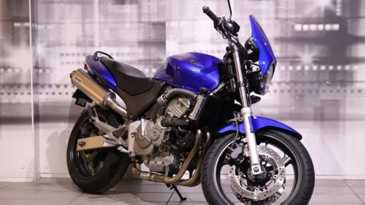 Honda Hornet 600 (2000 - 02) 
