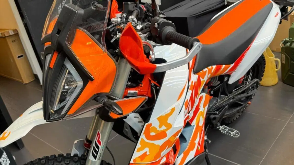 KTM 790 Adventure R Rally (2019 - 20)  (3)