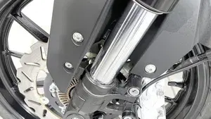 Benelli Leoncino 250 (2021 - 25)  (4)
