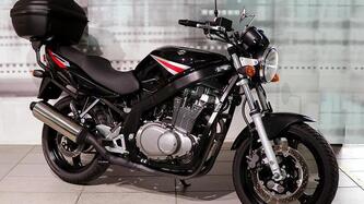 Suzuki GS 500 (2001 - 06) usata