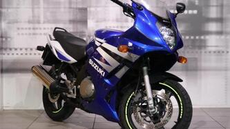 Suzuki GS 500 F (2004 - 06) usata