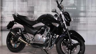 Suzuki Inazuma 250 (2012 - 17) usata