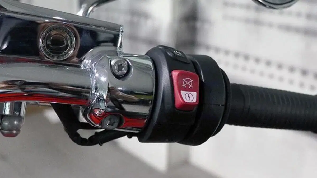 Bmw R 18 (2020 - 24)  (5)