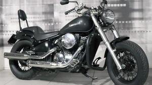 Kawasaki VN 800 (1995 - 98) 
