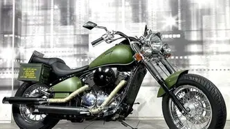 Kawasaki VN 800 Classic (2001 - 06) usata