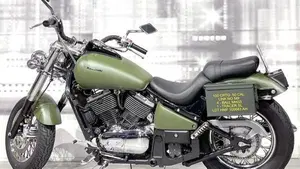 Kawasaki VN 800 Classic (2001 - 06)  (2)