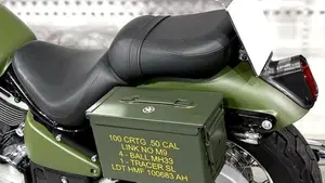 Kawasaki VN 800 Classic (2001 - 06)  (5)