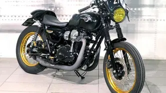Kawasaki W 800 (2010 - 17) usata
