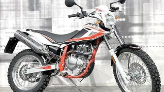 Betamotor Alp 4.0 (2018 - 20) usata